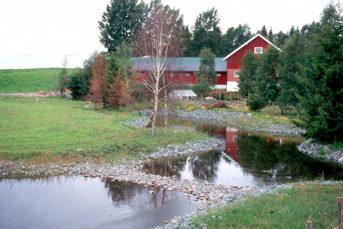 Vi ser at dammer forekommer langt hyppigere i jordbrukslandskapet i Hedmark (0,78 dammer per tusen dekar jordbruksareal) enn i Oppland (0,22 dammer per tusen dekar jordbruksareal).