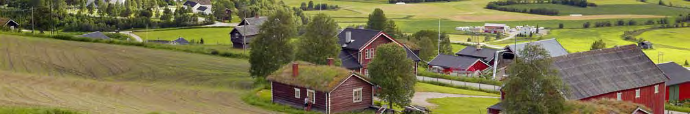 Variasjonen i jordbrukslandskapet er noe større i Oppland enn i Hedmark. I begge fylker skjer det en svak økning i variasjon gjennom perioden.