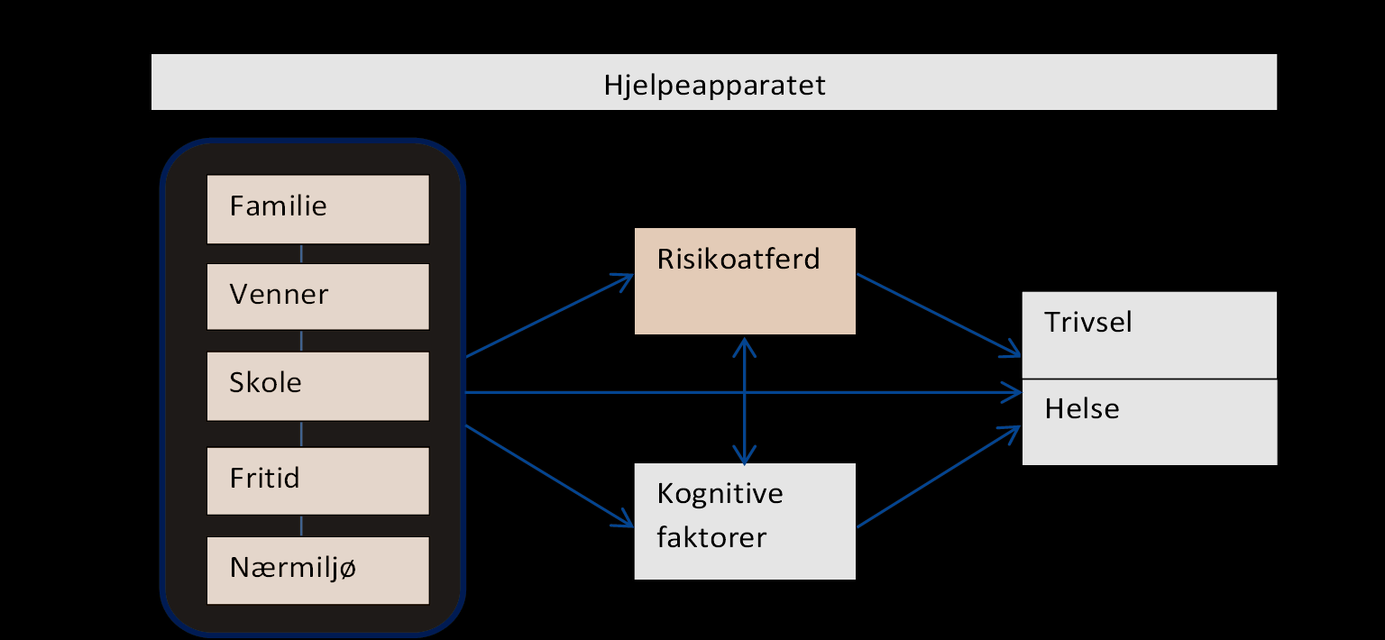 Analysemodellen Anvendes som utgangspunkt