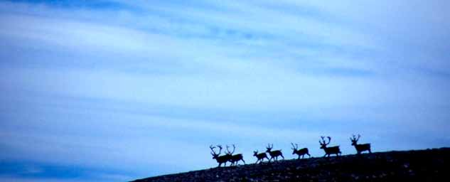 Verdifulle landbruksarealer og overordnet grønnstruktur Det for forventes at fylkeskommunen bidrar til å hindre nedbygging av verdifulle landbruks-, natur- og friluftsområder.