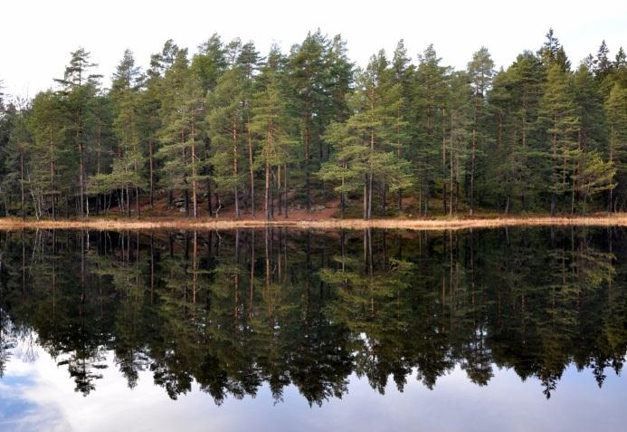 bygningsloven og naturmangfoldloven Krav til saksbehandling,