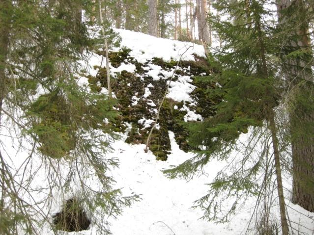 Fylkesmannen i Buskerud Forvaltningsplan for Ullebergåsen naturreservat 22 Sone 4 -skrenter i Hvamsalåsen-Ullebergåsen Beskrivelse Men med to sør- og vestvendte kalkskrenter har området et stort