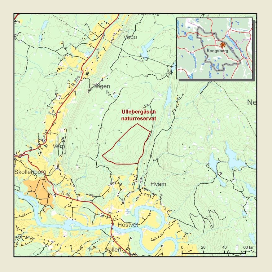 Fylkesmannen i Buskerud Forvaltningsplan for Ullebergåsen naturreservat 5 1. Innledning 1.1. Bakgrunn Ullebergåsen naturreservat i Kongsberg kommune ligger i øvre Sandsvær, på østsiden av Lågendalen.