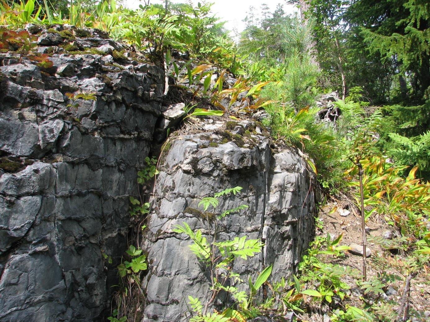 Fylkesmannen i Buskerud Forvaltningsplan for Ullebergåsen naturreservat 8 2.2. Geologi Ullebergåsen naturreservat ligger i Oslofeltet på bergarter fra kambrosilur.