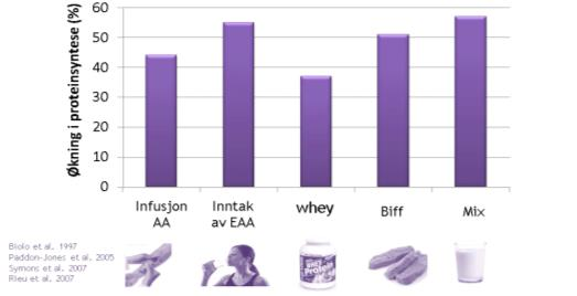 Increase protein synthesis (%) Proteinbalance 02.09.