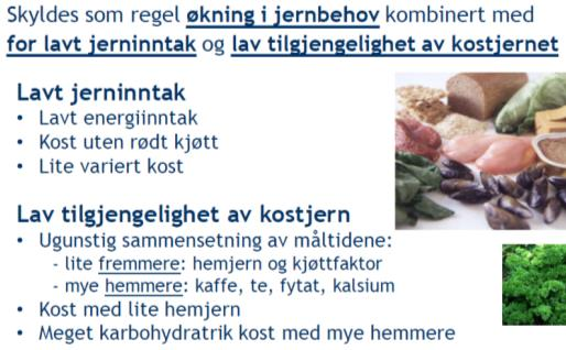 (inneholder kjøttfaktor ) Unngå å drikke kaffe, te og kakao til måltider Begrens inntaket av ugjæret brød (inneholder fytinsyre) Jerntilskudd - alternativer Lavest mulig dose for ønsket effekt