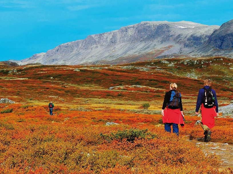 Hallingdal, Sogn og Hardanger Fjellet i Hallingdal og regionen forøvrig har et variert terreng som er svært godt tilrettelagt for vandring på egen hånd eller med guide.