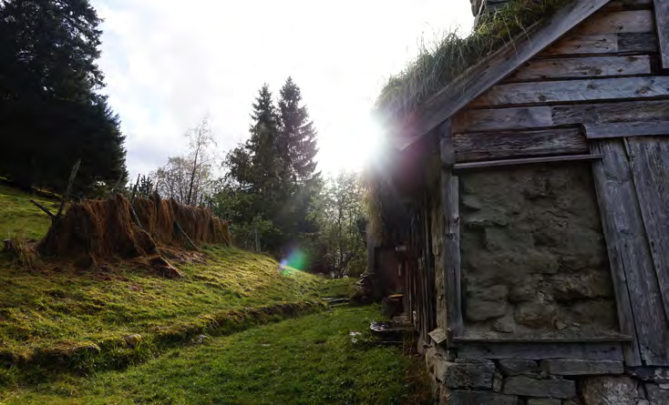 2.3 LANDSKAPSRESSURSER Eidsdal har lange tradisjoner som landbruksbygd, og ikke alle er villige til å ta sjansen på å involvere seg i reiselivet.