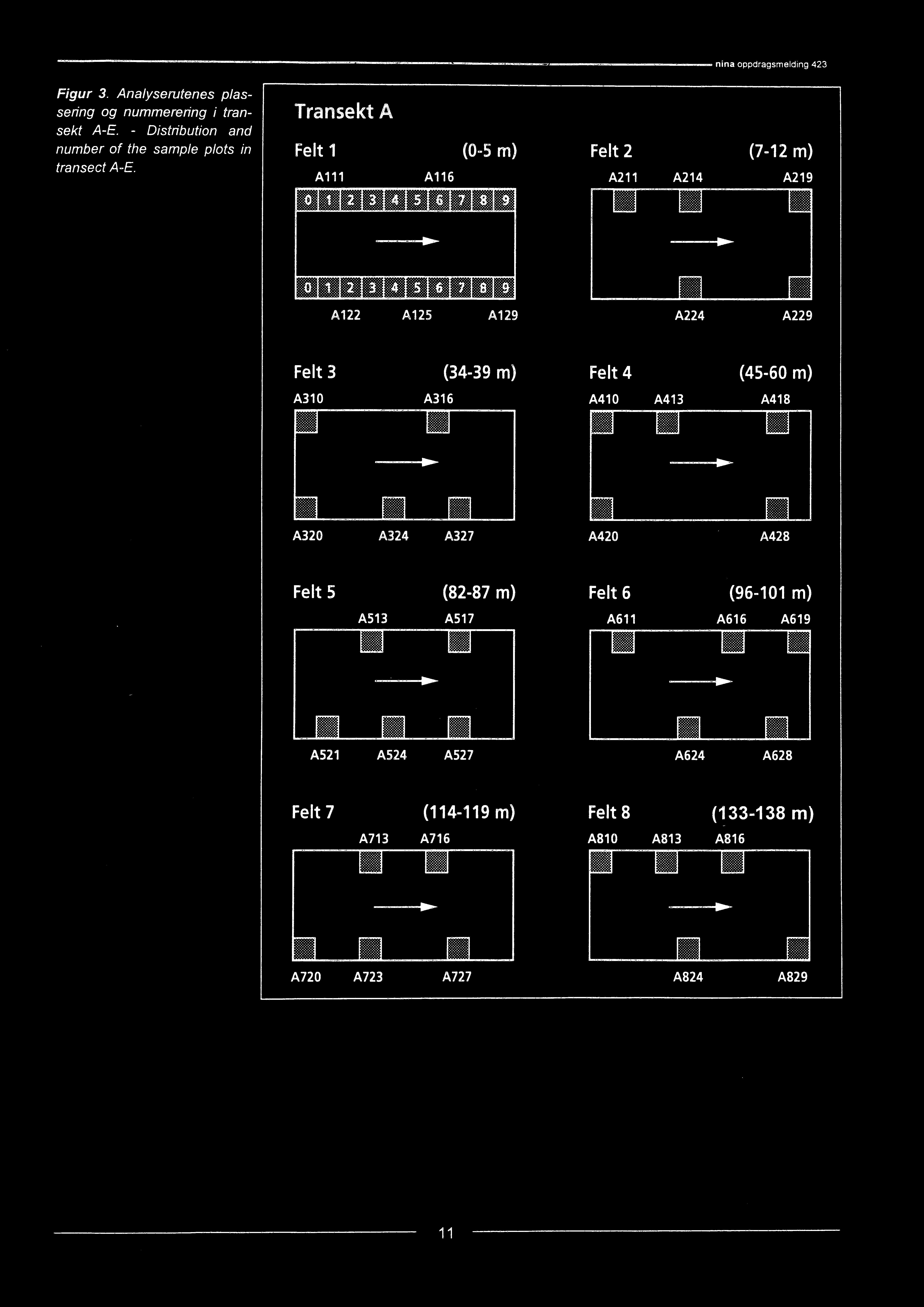 A229 Felt 3 A3 (34-39 m) Felt 4 (45-6 m) A36 A4 A43 A48».