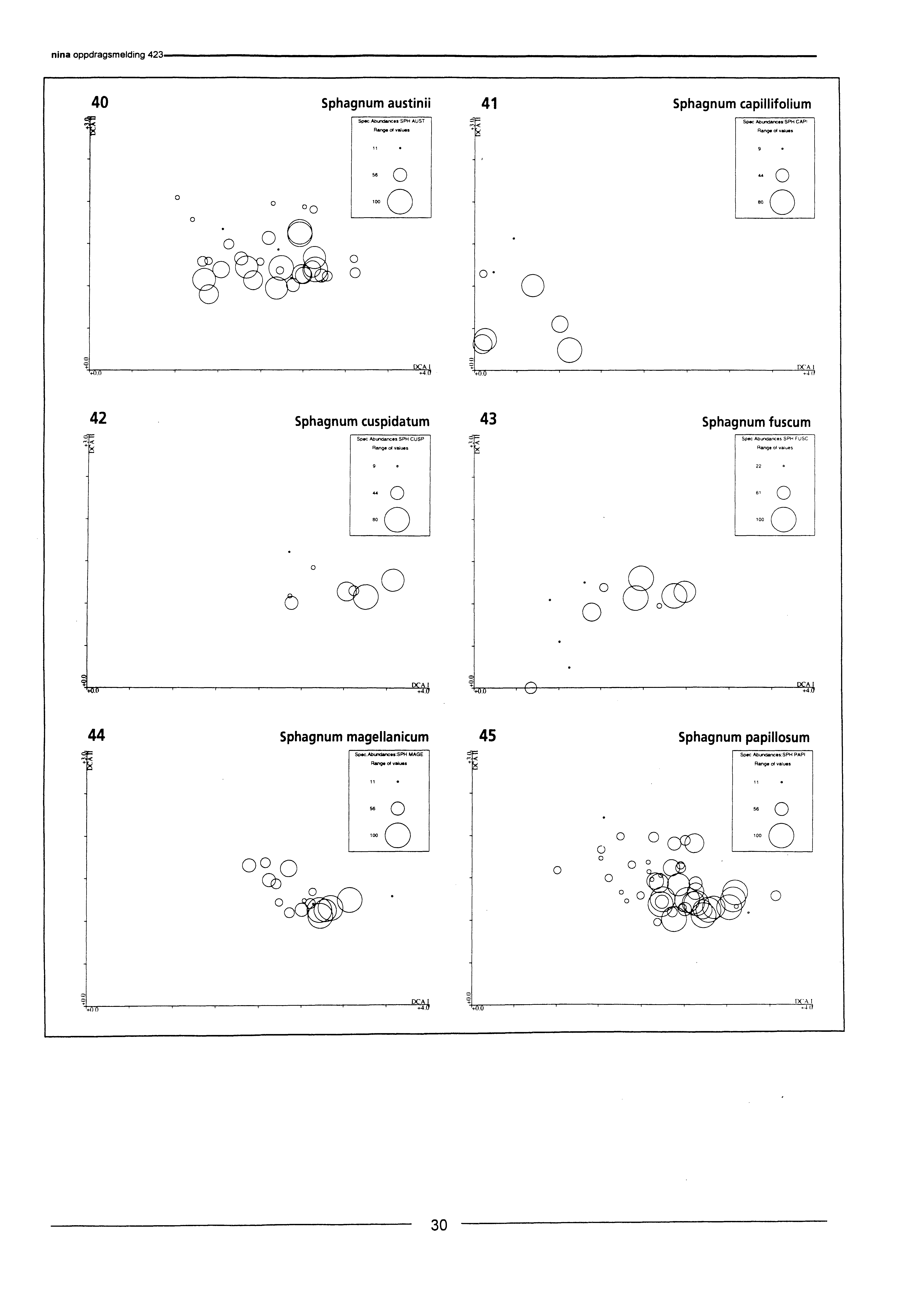 4 Sphagnum austinii Spc_Aburclences.