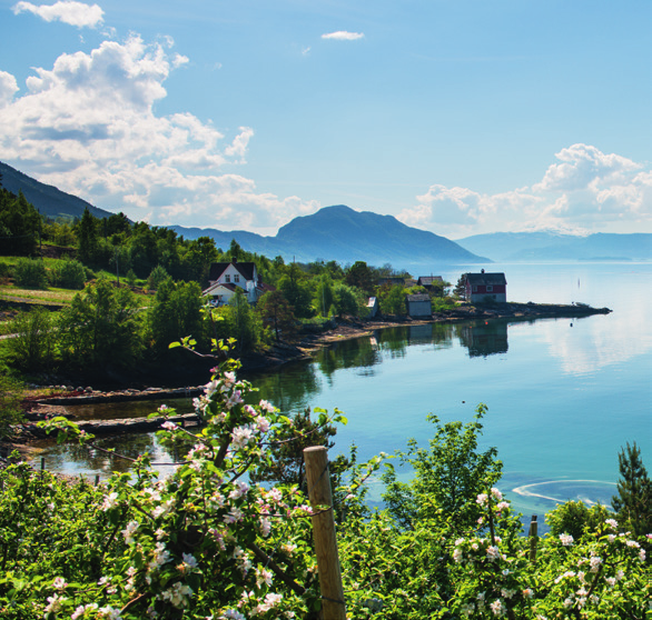 Nasjonale turistveger Dei nasjonale turistvegane i Noreg er 18 utvalde køyreturar gjennom det flottaste av norsk natur.