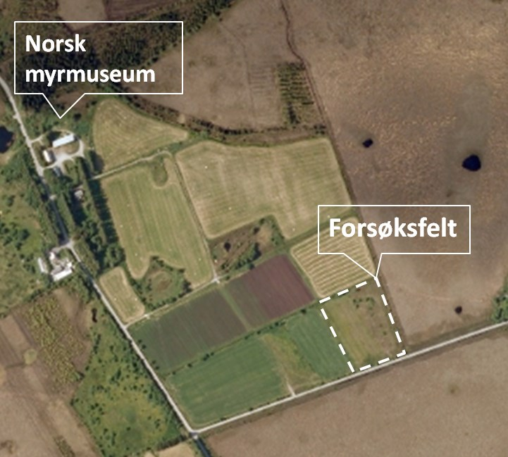 Figur 2. Lokalisering av felt for restaurering av myr på området ved Norsk myrmuseum. Figur 3.