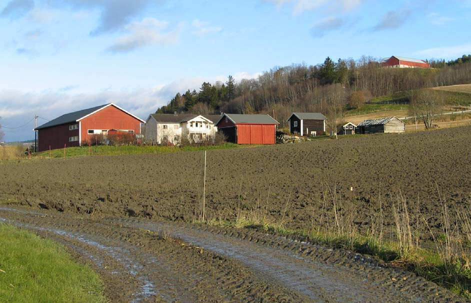 GAMLE HUS DA OG NÅ Undersøkelsen viser at det har skjedd mer med den registrerte bebyggelsen når det gjelder tap og endring i områder med tettbebyggelse enn i de spredtbygde.