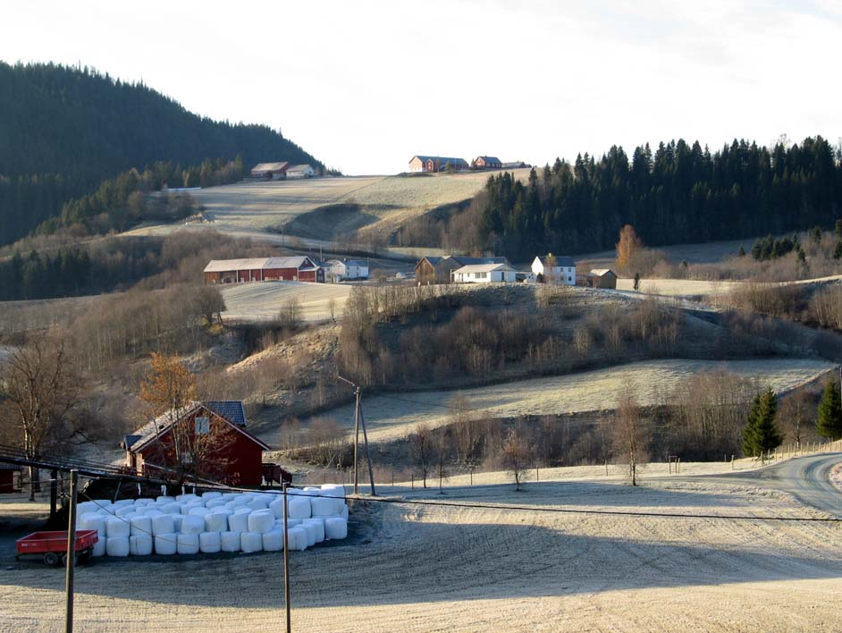 GAMLE HUS DA OG NÅ Melhus er i dag en av det største skogbrukskommunene i fylket. Det er særlig i gamle Flå, Horg og Hølonda de store skogene er.