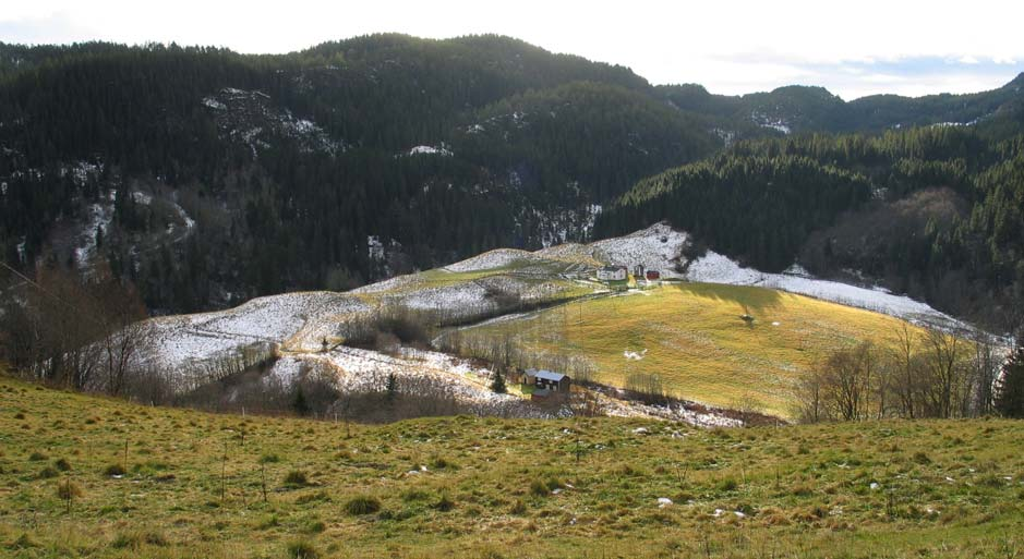 GAMLE HUS DA OG NÅ Bekkedalene deler opp gårdslandskapet i naturlige grenser. De største og eldste gårdene med innmark og tun ligger oppe på flatene, ofte i flere lag over hverandre.