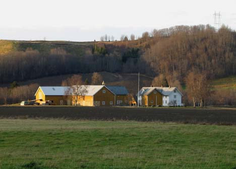 preg på det meste av gårdsbebyggelsen i Melhus.