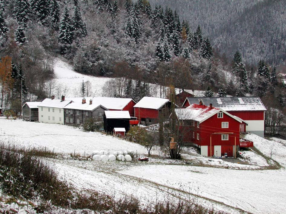 GAMLE HUS DA OG NÅ På Gyllteigen i Horg ligger hus til flere bruk tett sammen med innhus og uthus i to rekker, etter terrenget.