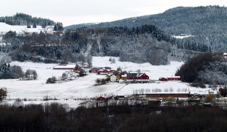 (1653-020-023 mfl.) Hovin framstår mest som en landsby sett fra østsida.