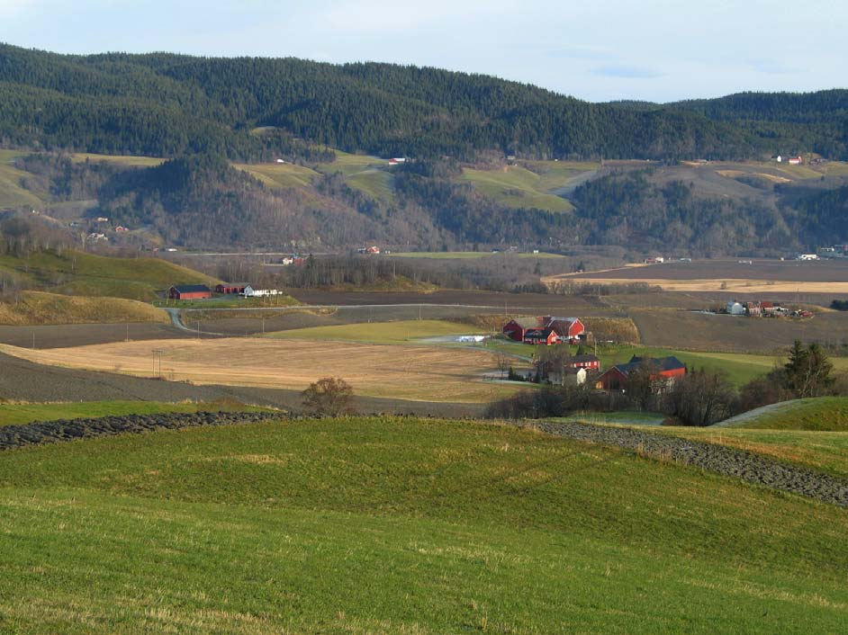 3 RESULTAT Krets 8 Fornes har en av de høyeste tapsandelene i Melhus