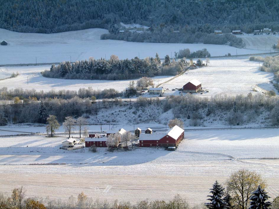 Det er støpt noe ny grunnmur og deler av vegg er erstattet med lecamur.