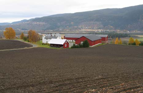 6 KONSEKVENSER OG TENDENSER Nytt, redskapshus på Romol (1653-006-034) i Melhus til venstre og nytt fjøs på Lauvåsen (1653-024-020) i Hovin til høyre.