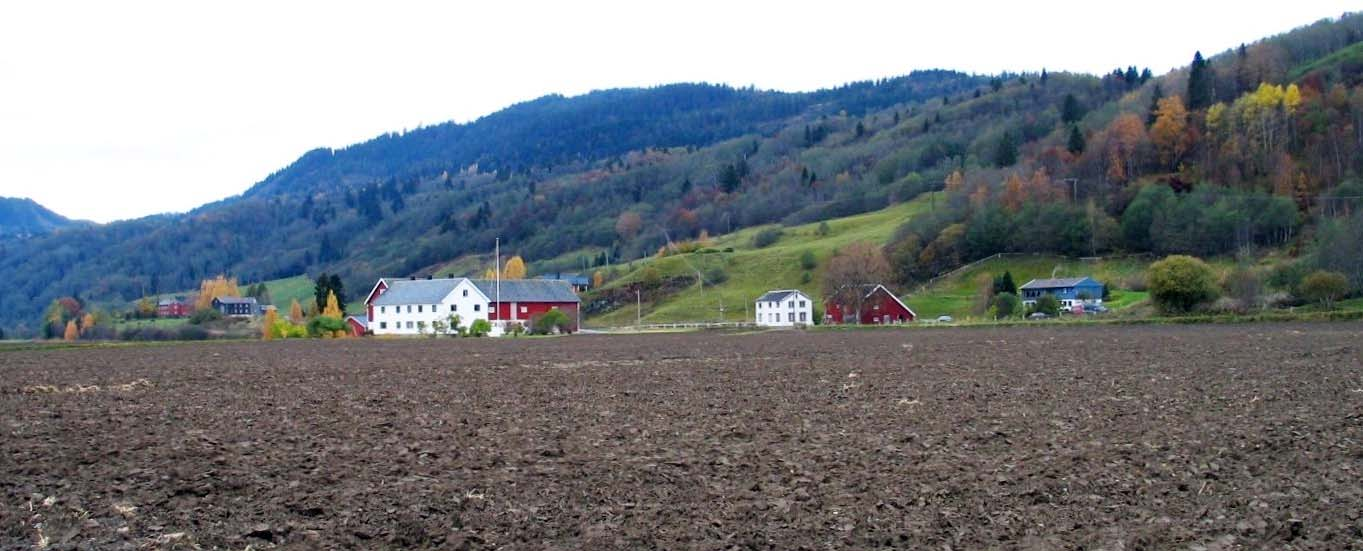 GAMLE HUS DA OG NÅ Tranmæl i delområde Melhus. Noen av bruka driver fortsatt med dyr og det beites i de nederste delen av lia.