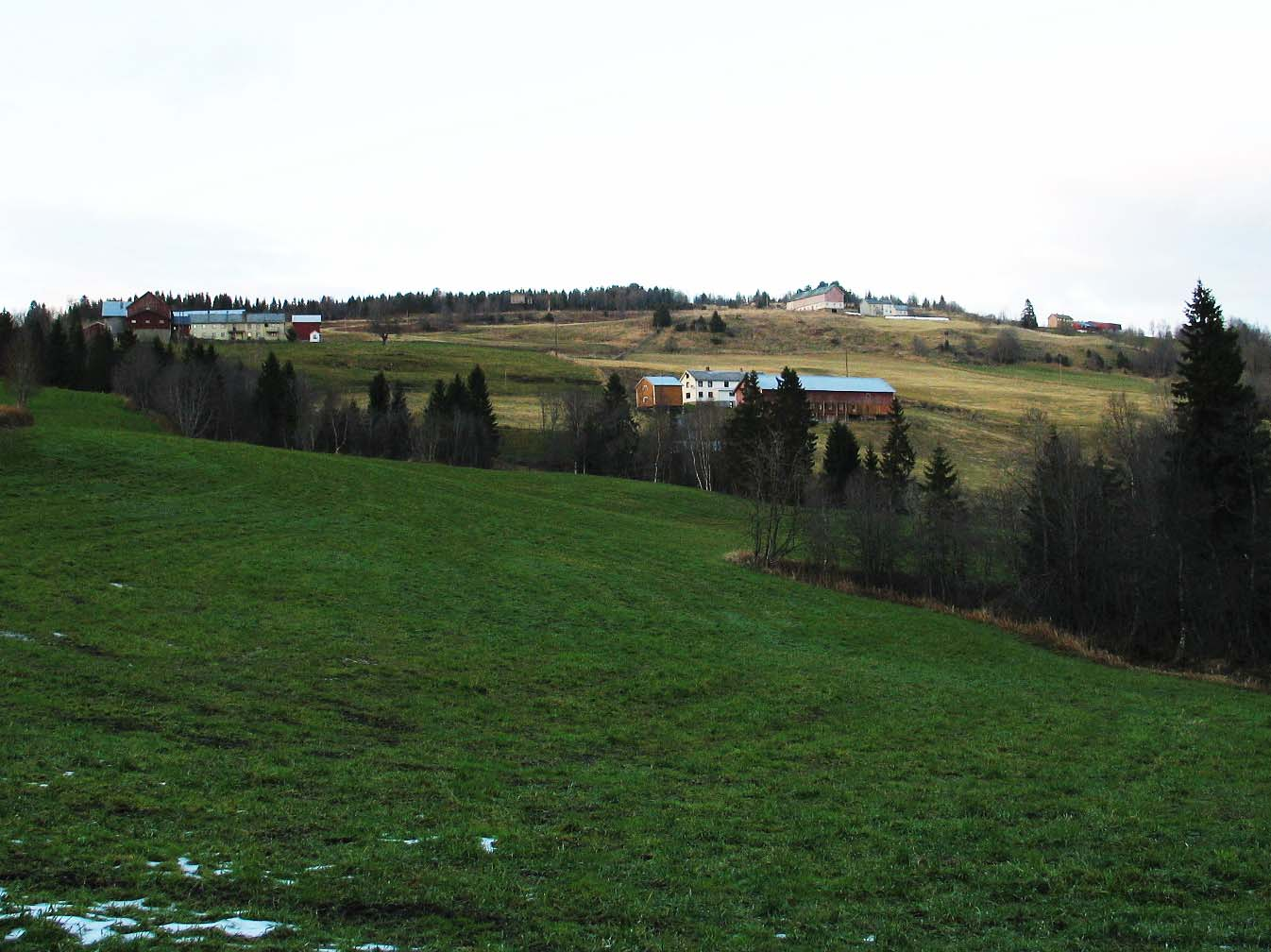 Hølonda er den av bygdene i Melhus som har opprettholdt flest aktive melkebruk.