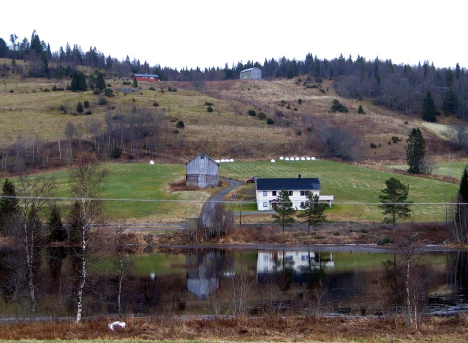 GAMLE HUS DA OG NÅ Den mest lettdrevne jorda på Trotlandsmyra slås fortsatt.