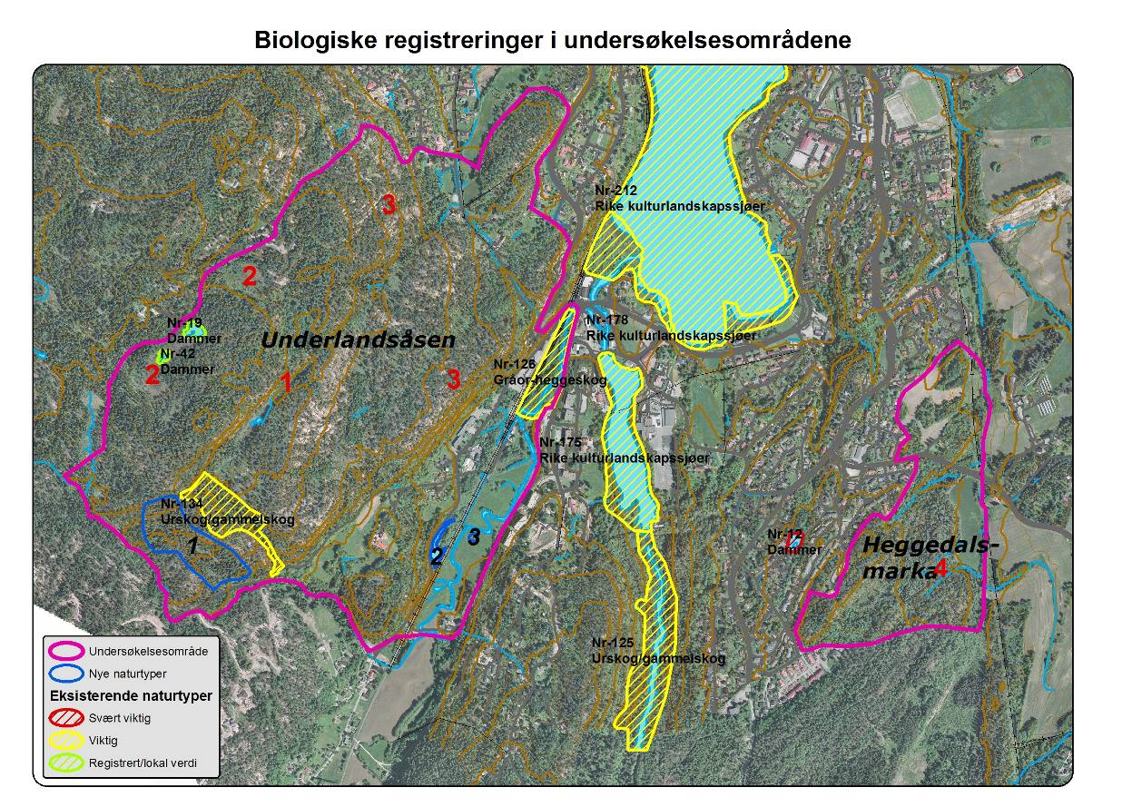 3.2 Biologiske verdier 3.2.1. Naturtyper Totalt ble det registrert tre naturtyper i undersøkelsesområdene (Fig 2), en urskog/gammelskog og to dammer.