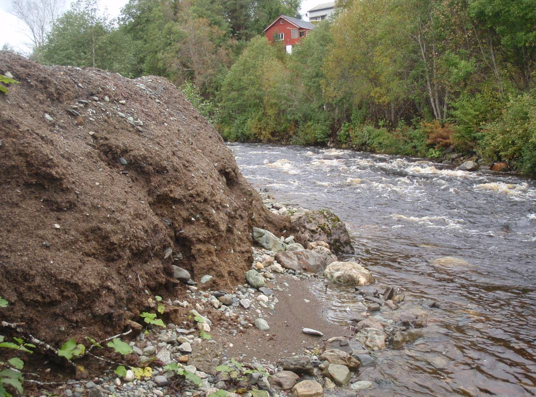 Foto: Dumping og lagring av sagflis/spon langs bredden av Skjerva, hvor avfallet gradvis vaskes ut i