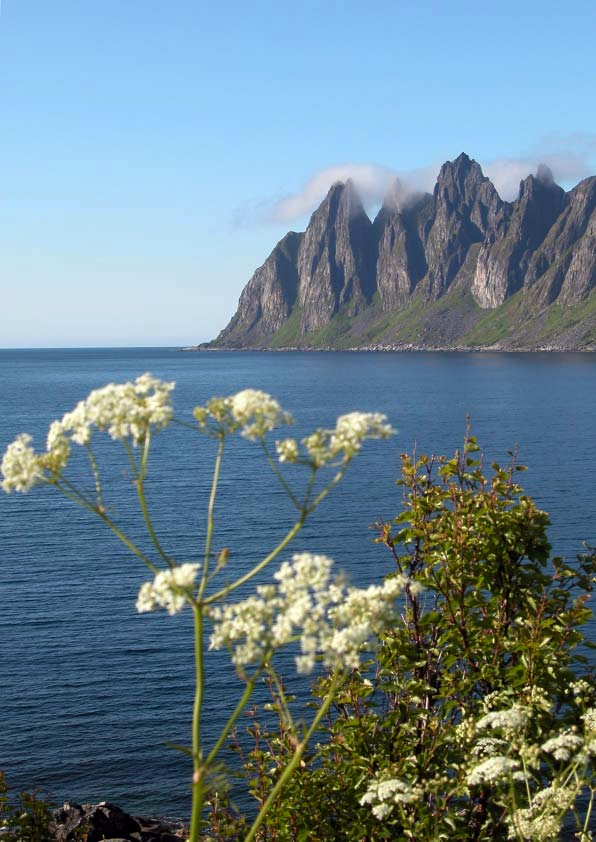 Denne brosjyren utgis av Berg kommune og holdes ajour fortløpende. Den aktuelle utgaven kan du laste ned fra www.berg.kommune.no.