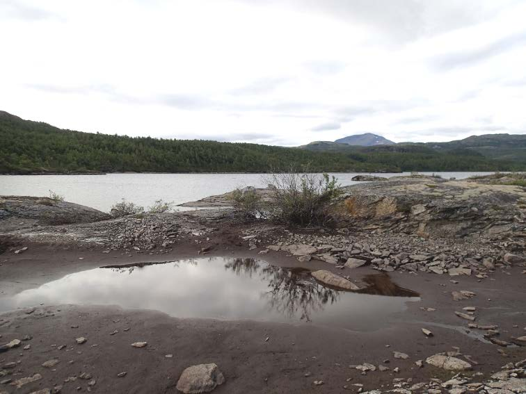 Mulige effekter av raske vannstandsendringer i magasiner Abiotiske endringer Strandlinja, vannkvalitet, temperatur, isdekt periode