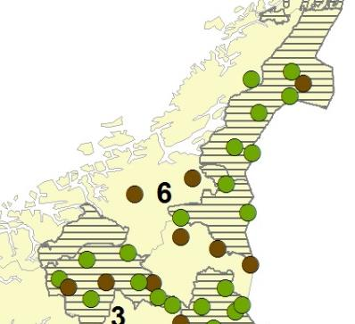 Jerv ulikt forvaltningsregime over