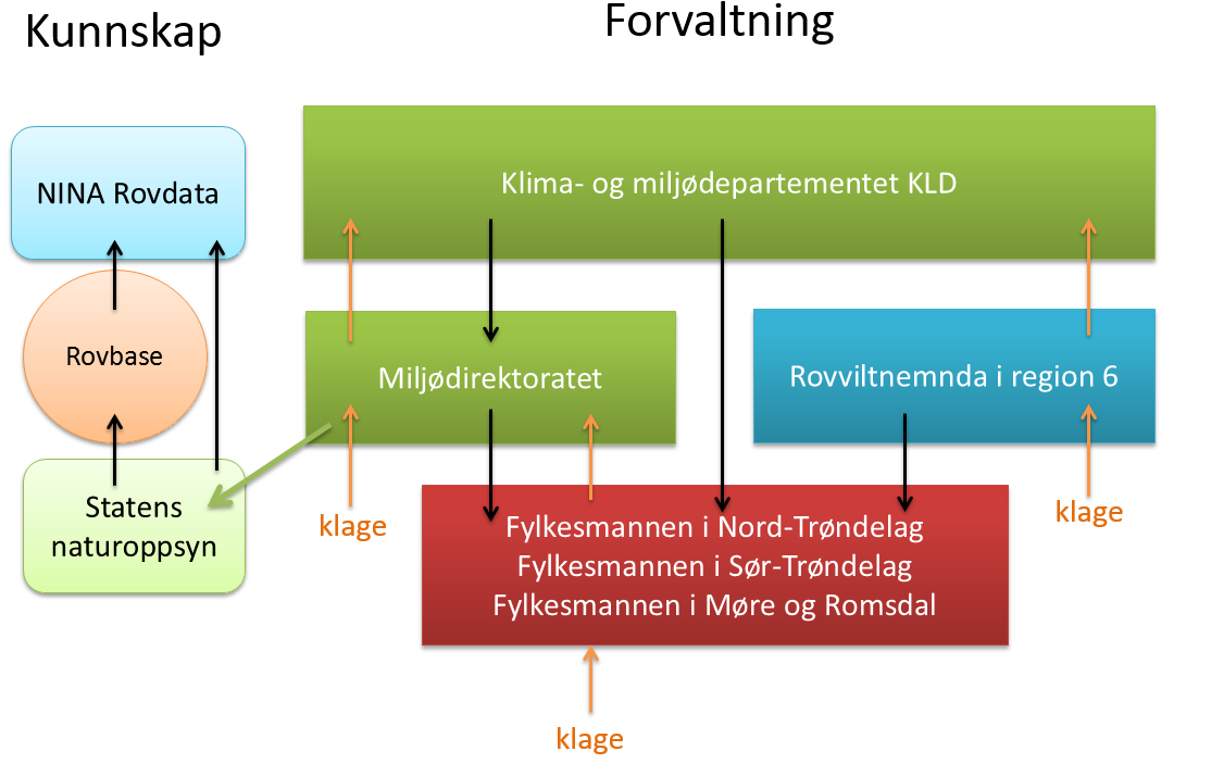 Organisering rovviltforvaltning slik vi opplever det fra Fylkesmannen.