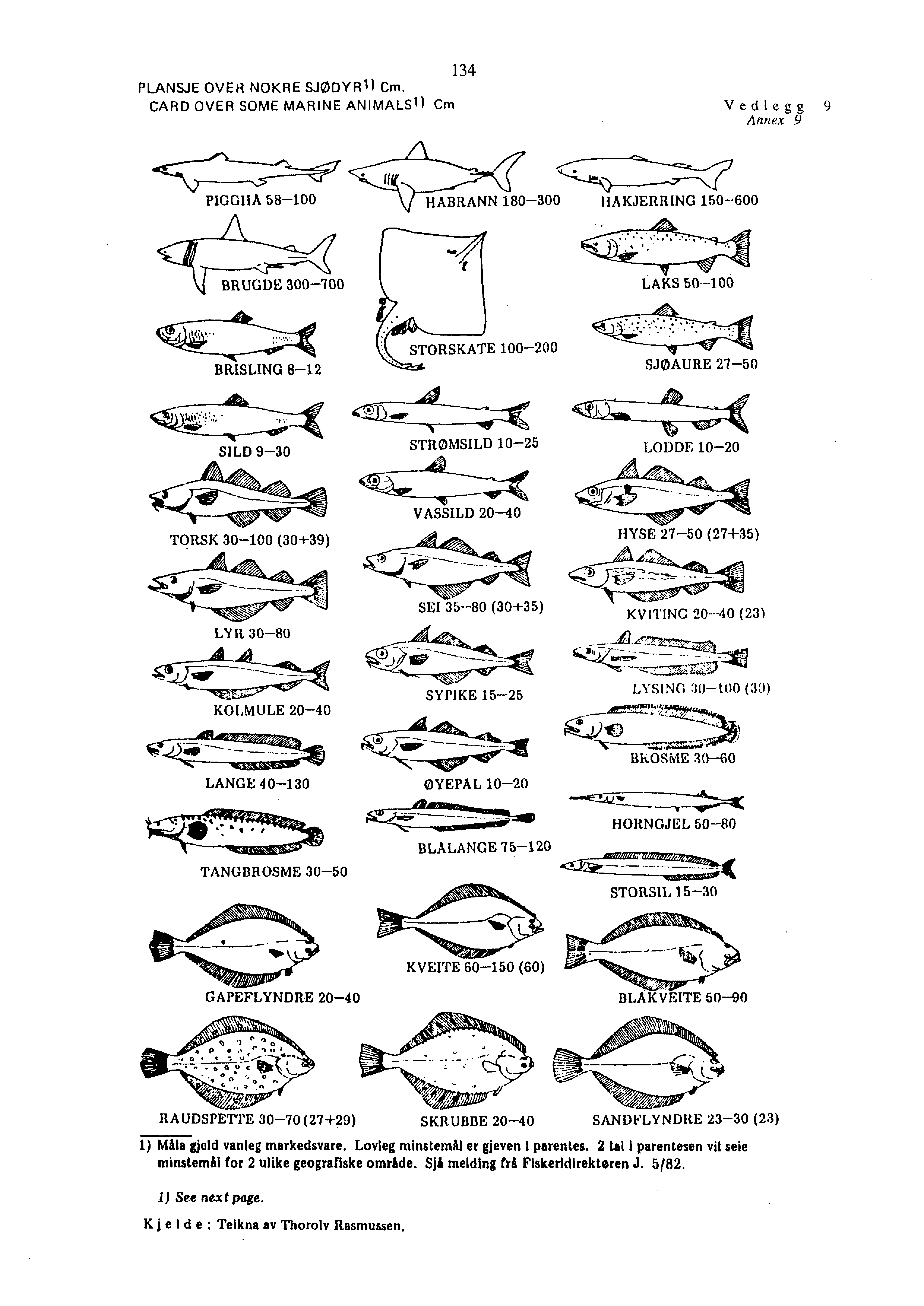 134 PLANSJE OVER NOKRE SJODYR 1 ) Cm.