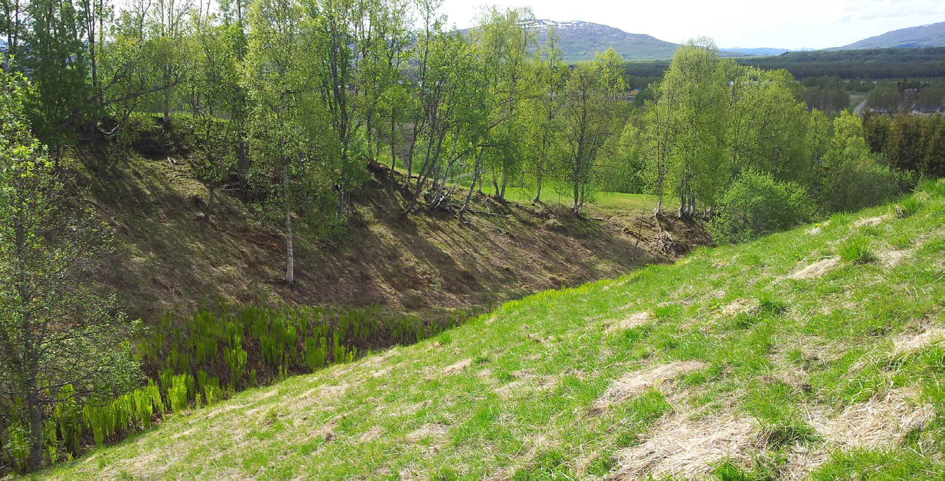 Ravinelandskap med Cambisol utviklet i havavsetninger. Rundmoen-Rydningen Området ligger nordvest i kommunen og grenser til Lenvik og Sørreisa kommuner.