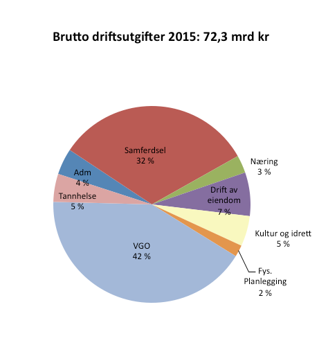 Brutto og netto driftsutgifter i