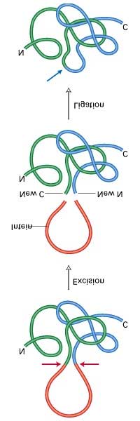 Figure 3-17 Forelesninger i BI 212 -