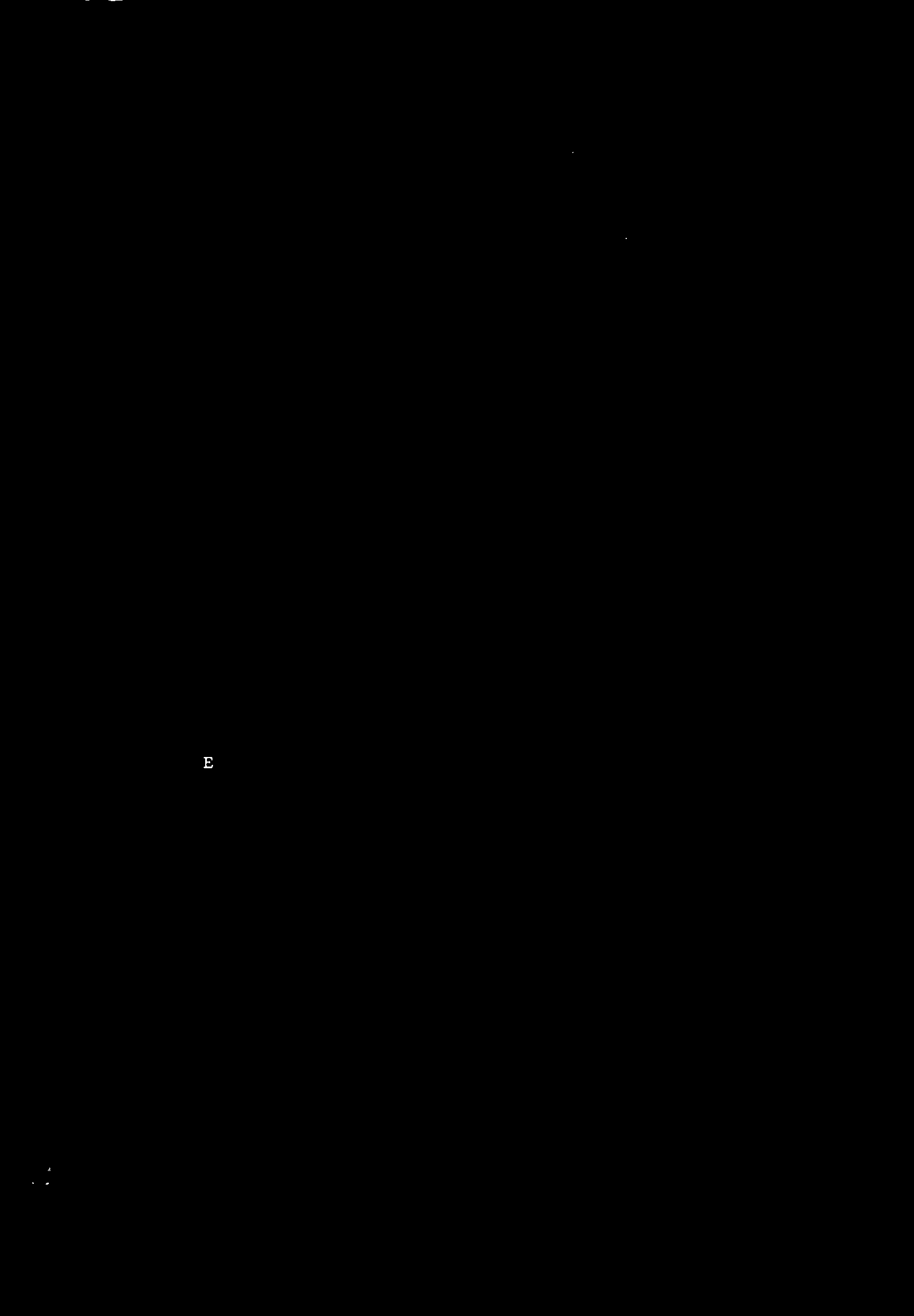 HAUKNESTIND UNIT 16 Zoisite-graphite mica gneisses 18 Calc-silicate gneisses 20 The muscovite gneiss horizon 21 Muscovite gneisses 22 Muscovite-bearing quartzites 23