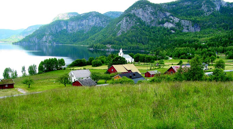 Forord Innledning Rødkløver (Trifolium pratense) i beite. Foto Ellen Svalheim 2003.