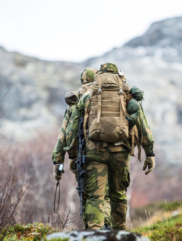 Mulige variasjoner i konseptene Graden av fellesoperasjoner som grunndesign, mobilitet og kampkraft i Finnmark, lokalisering og EBA balanse mellom ansatte