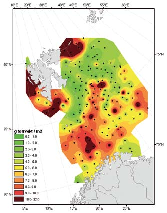 3 havets ressurser og miljø KapiTtel 1 øko sys tem b a r e n t s h av e T Dyreplankton biomasse 1 Dyreplankton biomasse Figur 1.