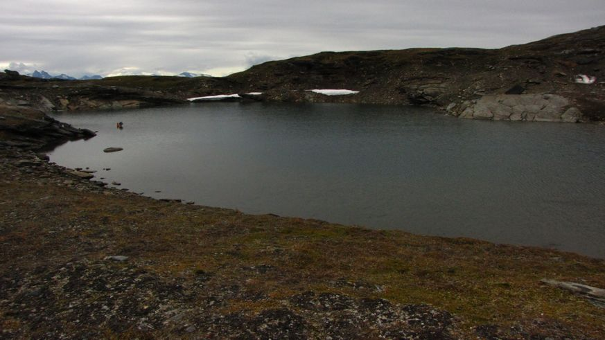 . Dette vannet har ingen vegetasjon og er relativt grunt. Foto: Geir Arnesen 5.
