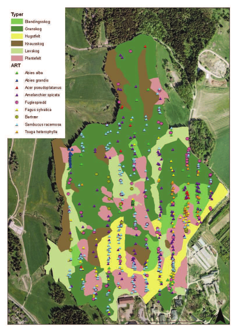 Resultater Figur 3. Nordskogen med registrerte arter og individer.