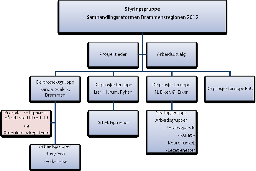 Lederne for de fire delprosjektene utgjør, sammen med samhandlingssjefen og leder for praksiskonsulentene ved Drammen sykehus og prosjektleder, et arbeidsutvalg.