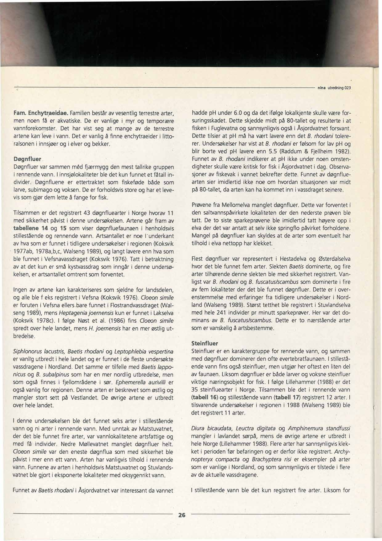 nina utredning023 Fam. Enchytraeldae. Familienbestårav vesentlig terrestrearter, men noen få er akvatiske. De er vanlige i.myr og temporære vannforekomster.