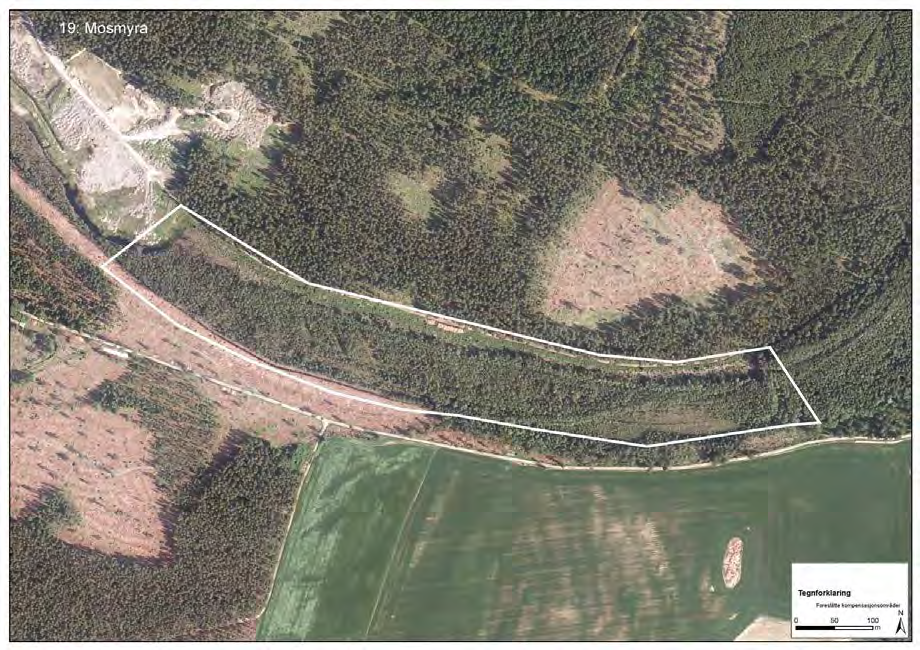 107 av 163 Totalsum 12 Aktuelle tiltak Skogen bør optimalt sett vernes/sikres. Det anbefales fri utvikling på hele skogarealet.