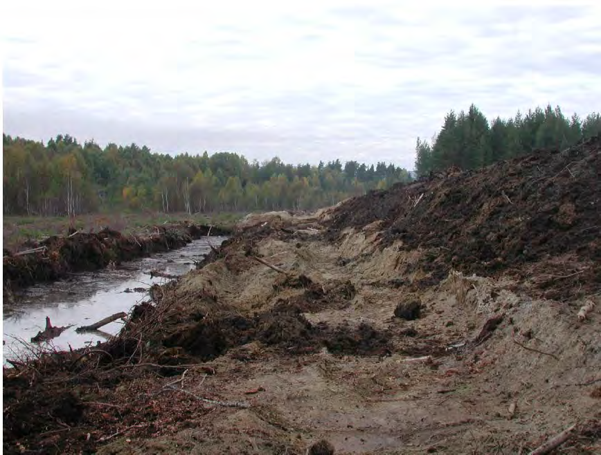 109 av 163 og en traktorvei krysser sumpskogen i øst (på grensa til Lamyra NR. Vann er ledet i rør under vegen. Fylling i vest. Området er preget av unaturlige vannstandsendringer, torvtak osv.