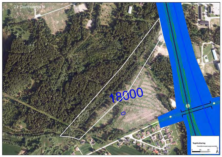 116 av 163 13.1.17 21. Domholtevja N 21. Domholtevja N Naturtypelokalitet DN-13 Flompåvirket bjørke og Verdi A viersumpskog NiN-typer Naturbeskrivelse og Området utgjør en forlengelse av Domholtevja.