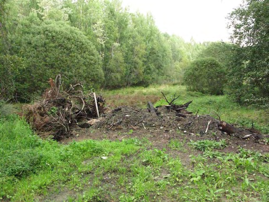 122 av 163 Kriterium 1. Addisjonalitet: LNF-område. Området grenser til foreslått vernet område i 6 verneplan for Tyrifjorden (nordre del). Området ligger inne som fulldyrket mark i markslagskart.